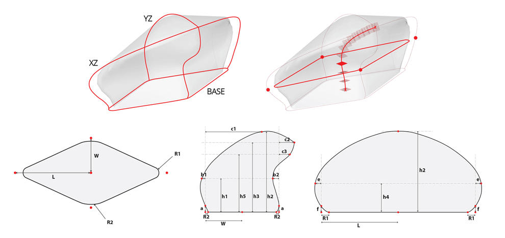 biologically-inspired-lessons-chiton-scales-design-flexible-armors-3 biologically-inspired-lessons-chiton-scales-design-flexible-armors-3